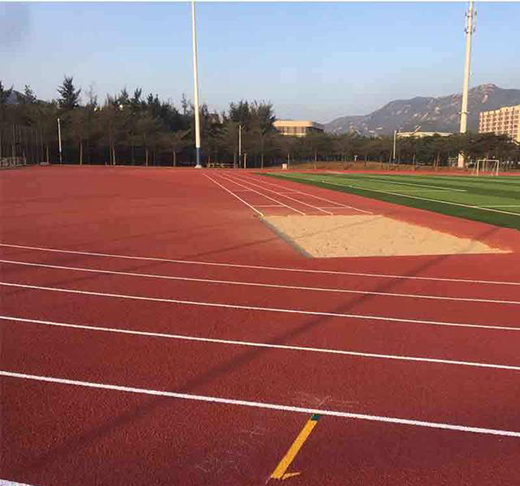 开云电竞app混合型塑胶跑道是怎么样的？(图3)